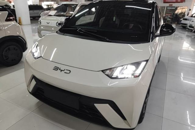 Used BYD Seagull 2025 305 km Free Version