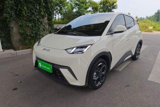 BYD Seagull 2025 305 km Free Version d’occasion