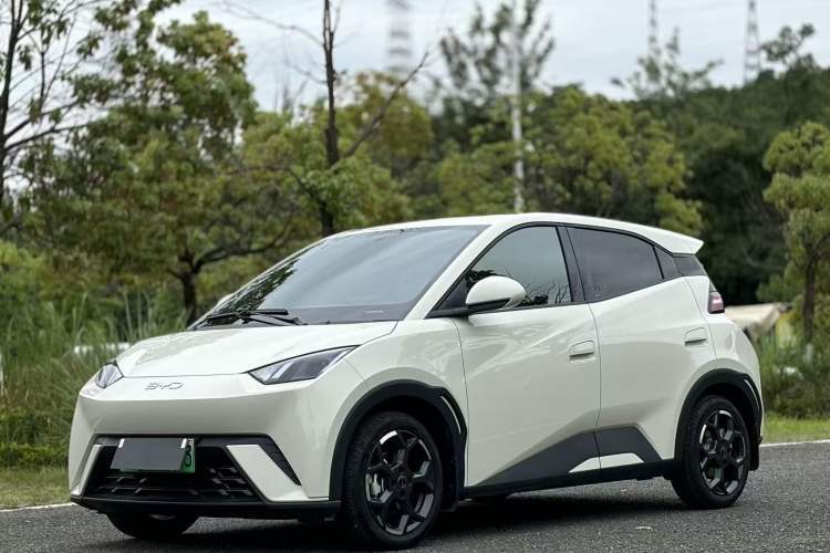 Used BYD Seagull 2025 305 km Free Version Guazi used car, China used car export, Used car for sale, Used  cars, Cheapest cars for sale