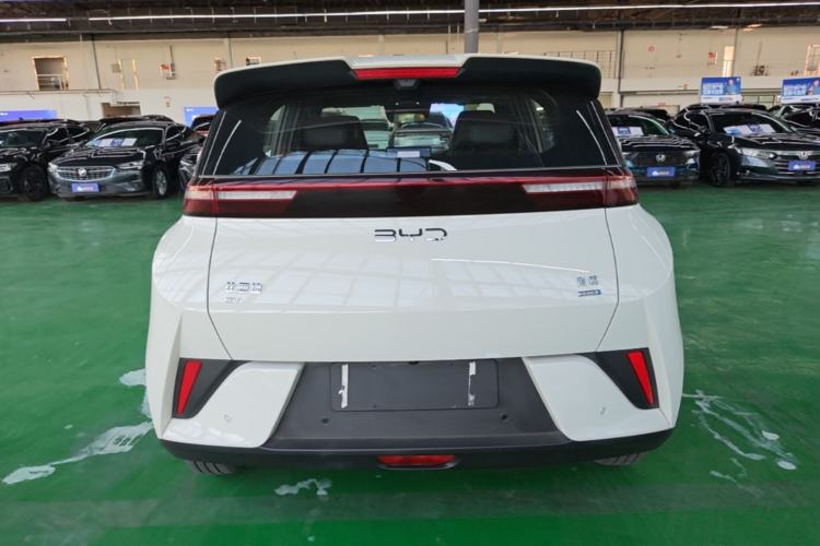 Used BYD Seagull 2025 Smart Drive Version 305 km Freedom Edition Rear