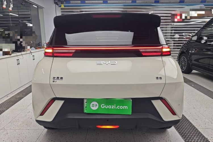 Used BYD Seagull 2025 405 km Flying Edition Rear