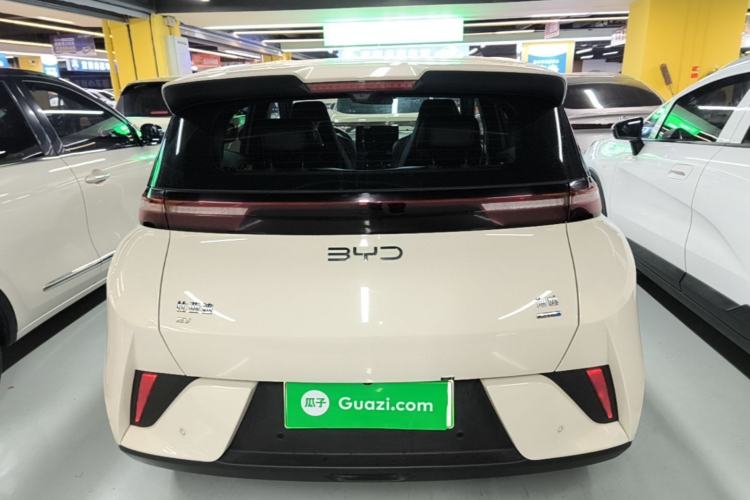 Used BYD Seagull 2025 Intelligent Driving Version 405 km Flying Edition Rear