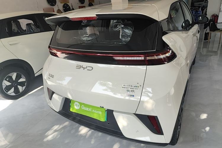 Used BYD Seagull 2025 Smart Drive Version 305 km Freedom Edition Rear
