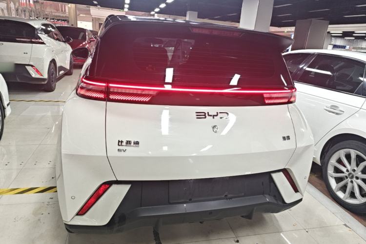 Used BYD Seagull 2025 405 km Flying Edition Rear