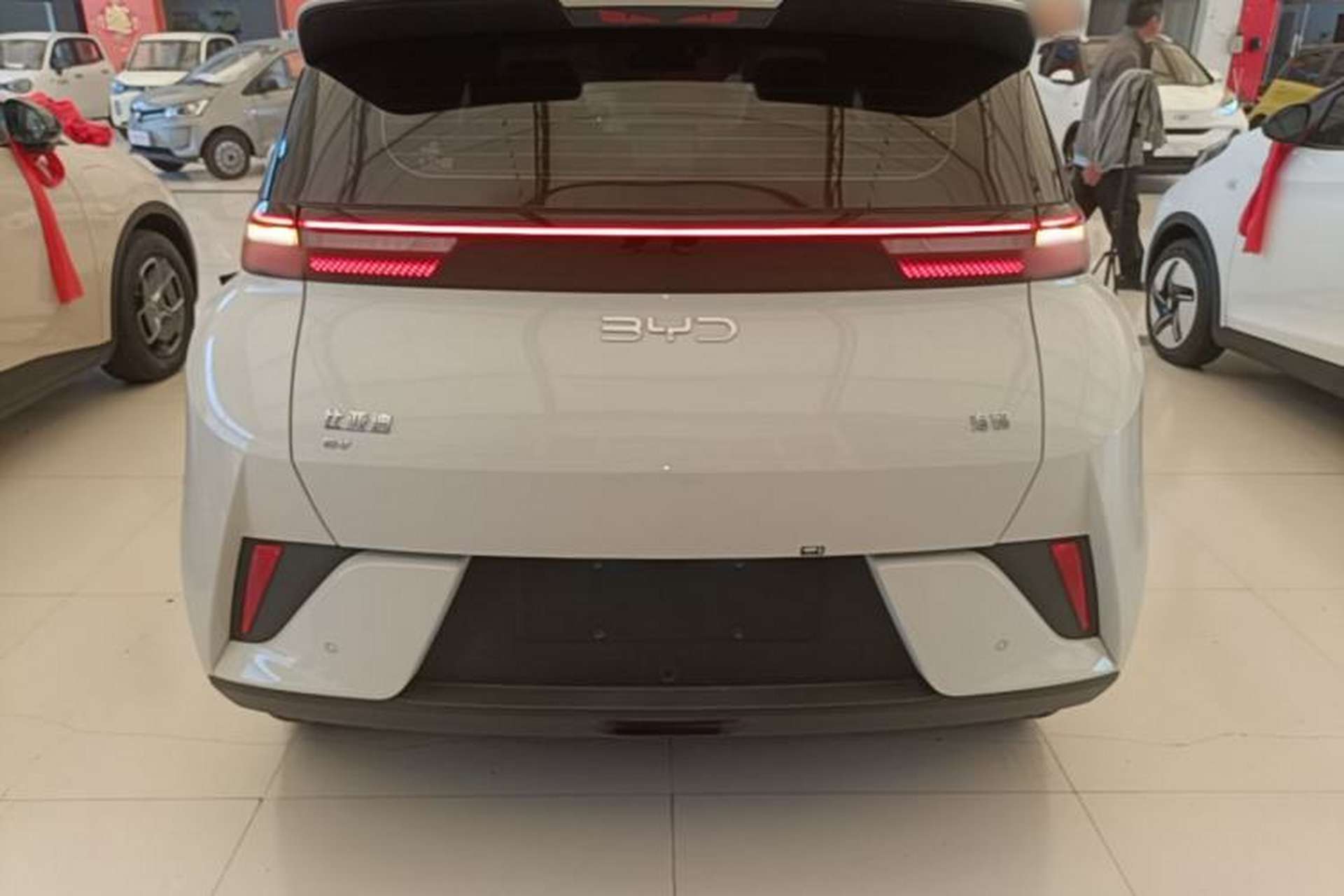 Used BYD Seagull 2025 Intelligent Driving Version 305 km Dynamic Edition Rear