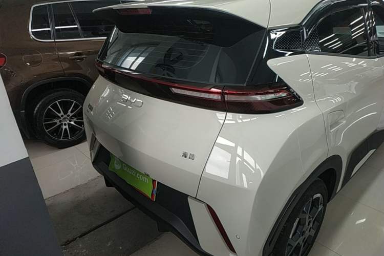 Used BYD Seagull 2025 305 km Free Version Rear