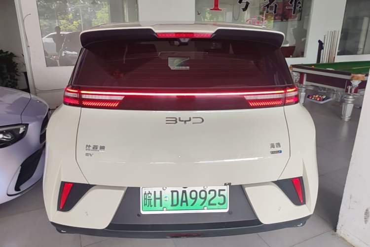 Used BYD Seagull 2025 Smart Drive Version 305 km Freedom Edition Rear