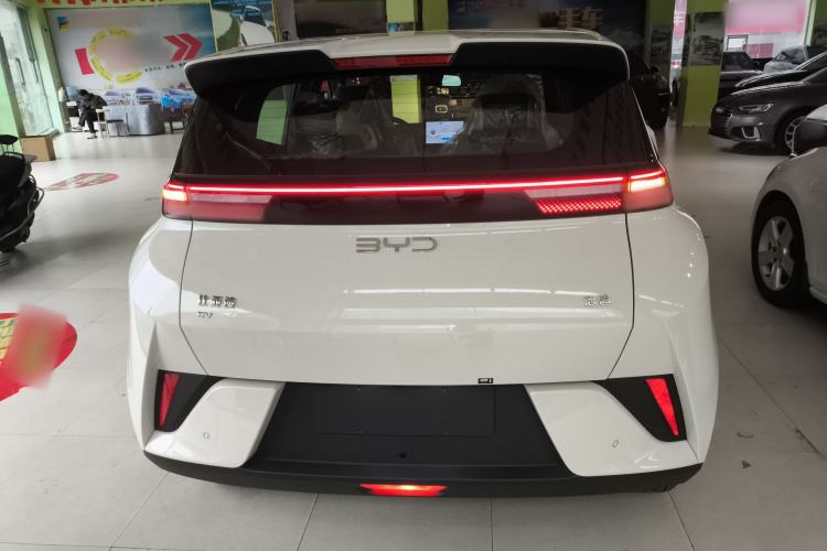 Used BYD Seagull 2025 Intelligent Driving Version 305 km Dynamic Edition Rear