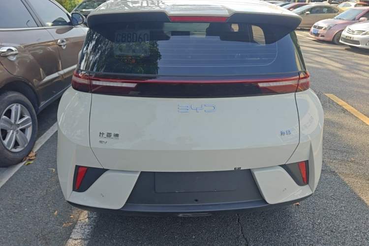 Used BYD Seagull 2025 Intelligent Driving Version 305 km Dynamic Edition Rear