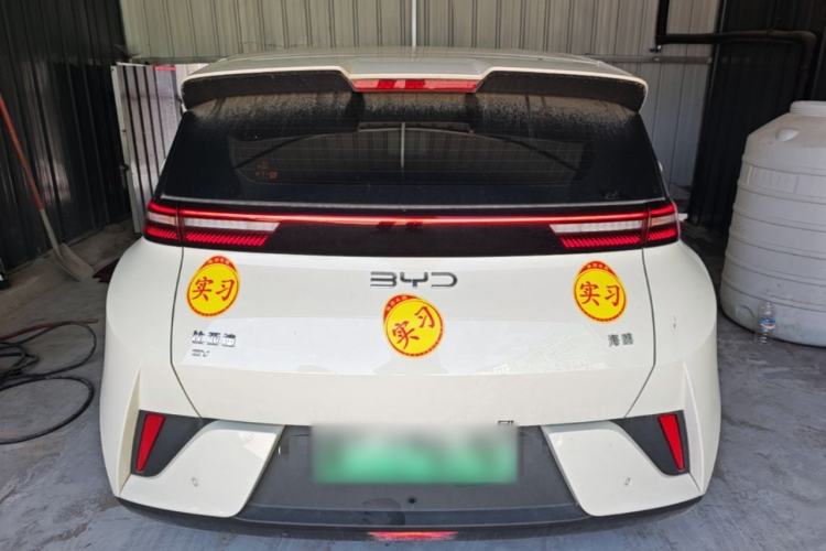 Used BYD Seagull 2025 Intelligent Driving Version 305 km Dynamic Edition Rear