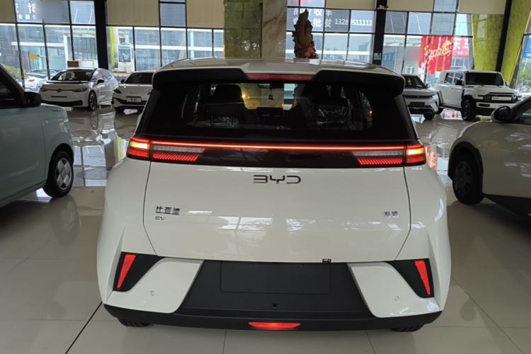Used BYD Seagull 2025 Intelligent Driving Version 305 km Dynamic Edition Rear