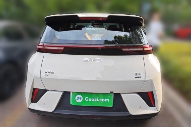 Used BYD Seagull 2025 Smart Drive Version 305 km Freedom Edition Rear