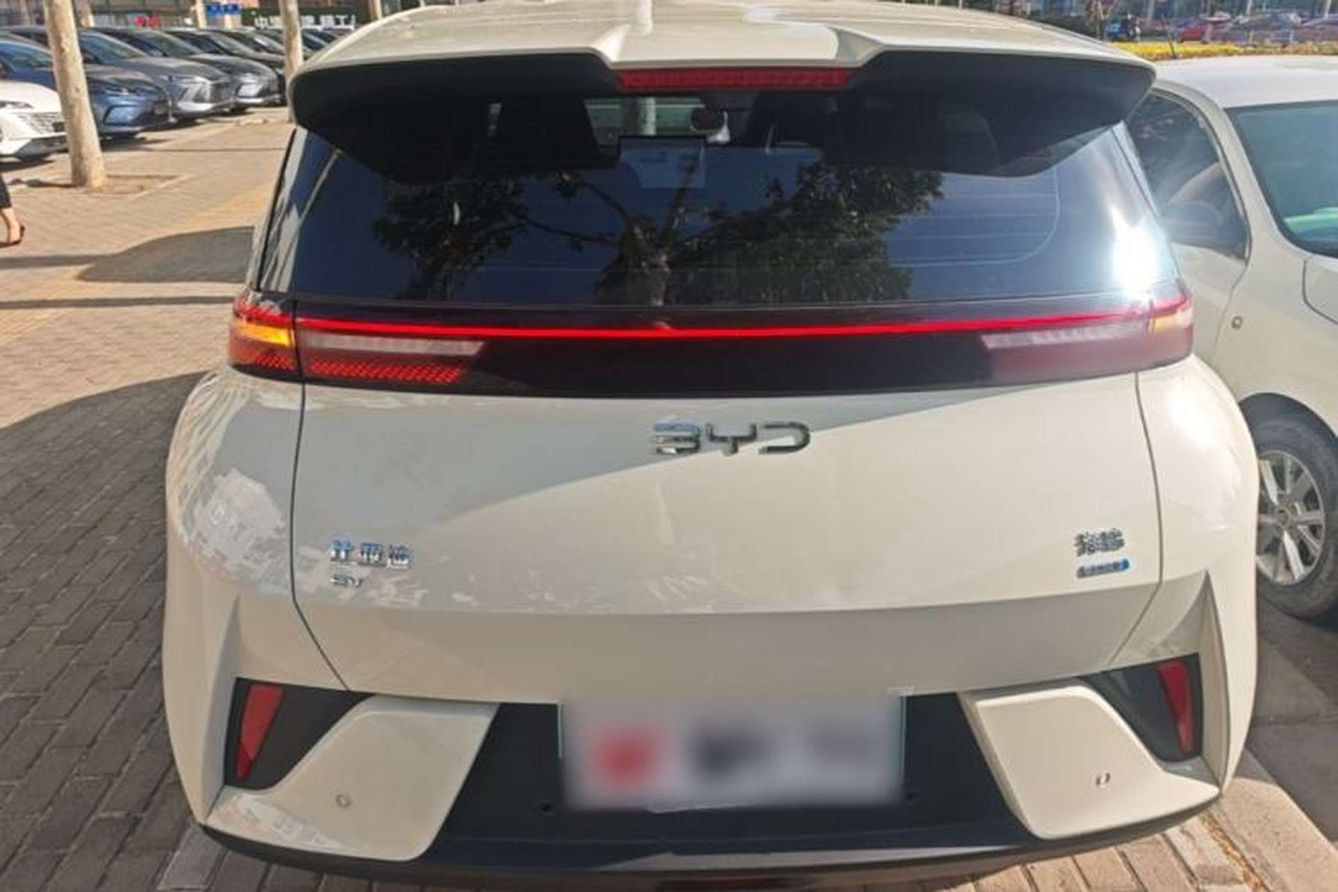 Used BYD Seagull 2025 Smart Drive Version 305 km Freedom Edition Rear