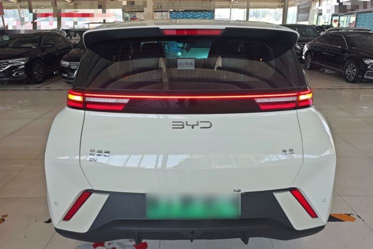 Used BYD Seagull 2025 305 km Free Version Rear