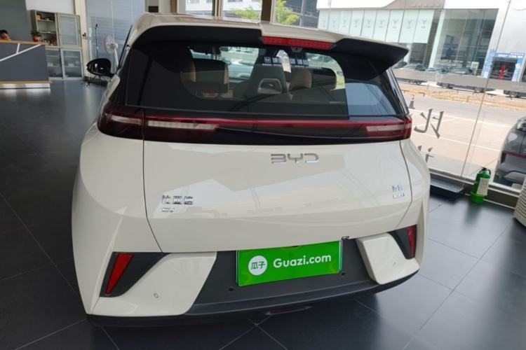 Used BYD Seagull 2025 Smart Drive Version 305 km Freedom Edition Rear