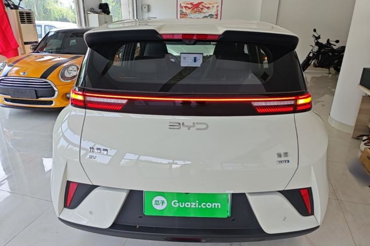 Used BYD Seagull 2025 Smart Drive Version 305 km Freedom Edition Rear