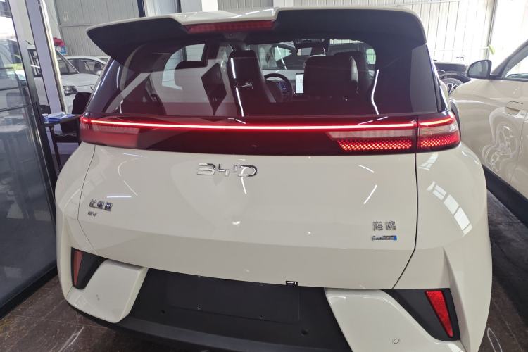 Used BYD Seagull 2025 Smart Drive Version 305 km Freedom Edition Rear