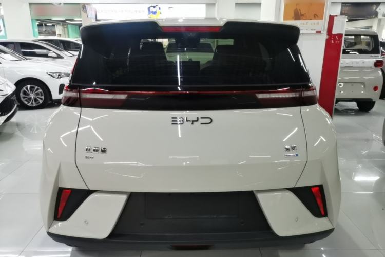 Used BYD Seagull 2025 Smart Drive Version 305 km Freedom Edition Rear