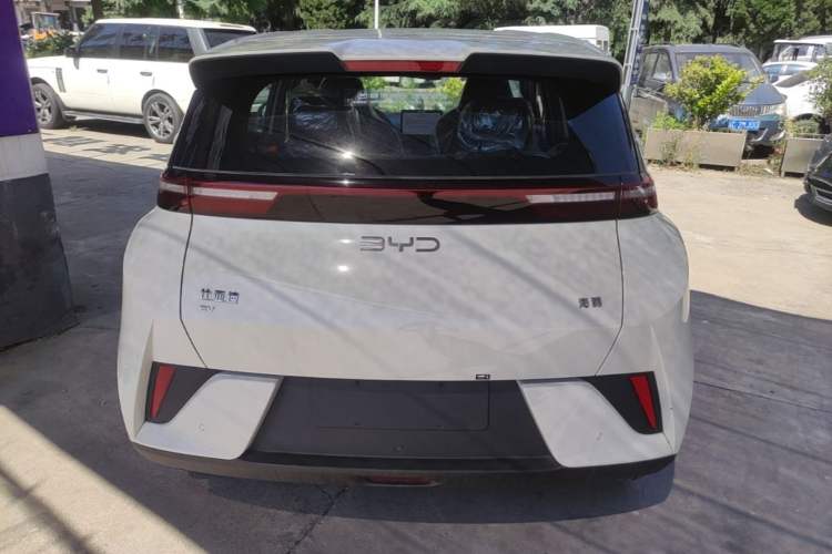 Used BYD Seagull 2025 Intelligent Driving Version 305 km Dynamic Edition Rear