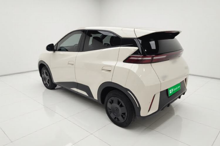 Used BYD Seagull 2025 305km Active Version Rear Left 45 Deg