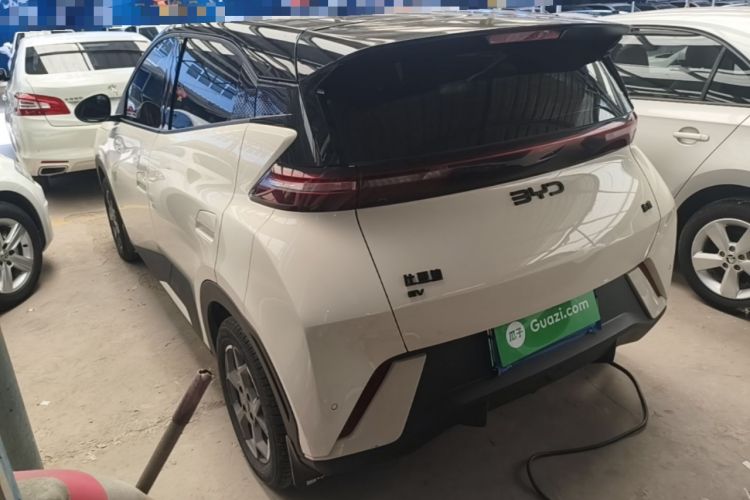Used BYD Seagull 2025 305km Active Version Rear Left 45 Deg