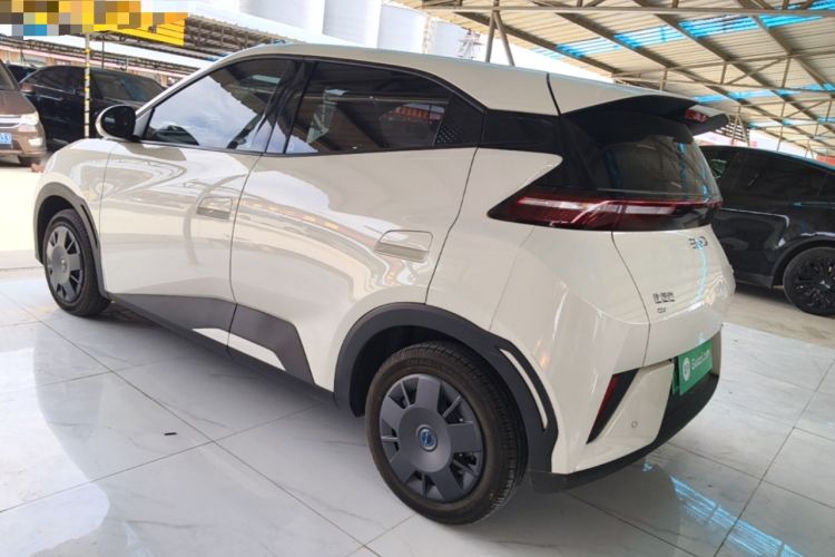Used BYD Seagull 2025 305km Active Version Rear Left 45 Deg