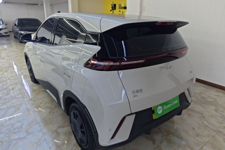Used BYD Seagull 2025 305km Active Version Rear Left 45 Deg