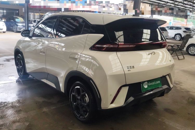 Used BYD Seagull 2025 305 km Free Version Rear Left 45 Deg