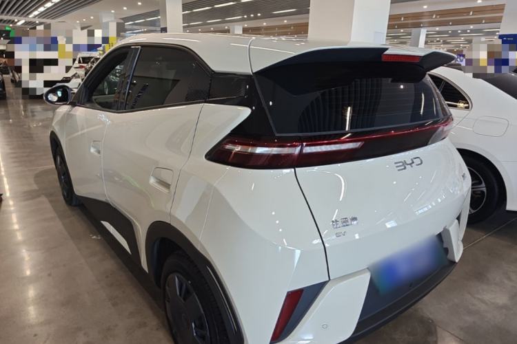 Used BYD Seagull 2025 305km Active Version Rear Left 45 Deg