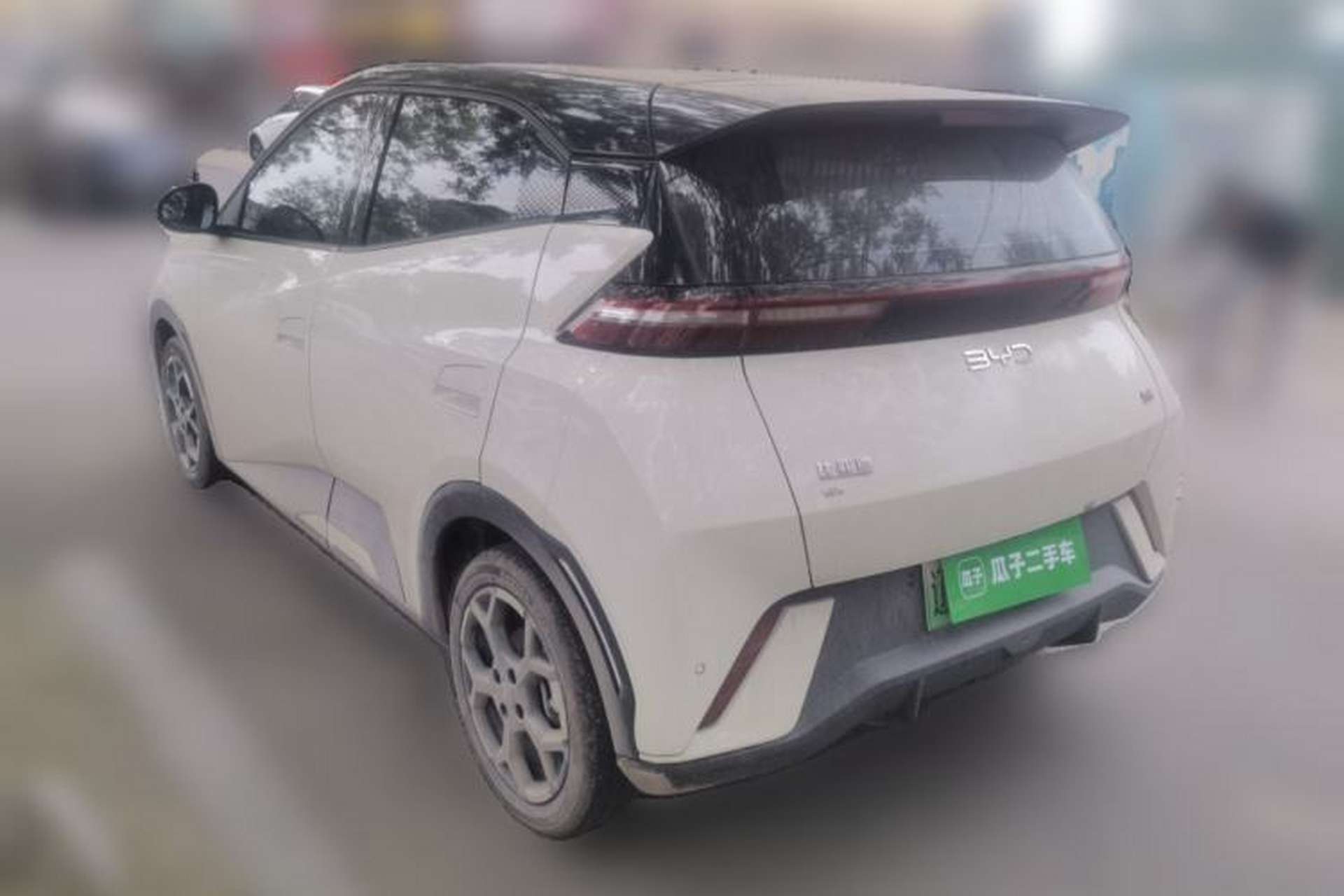 Used BYD Seagull 2025 305 km Free Version Rear Left 45 Deg