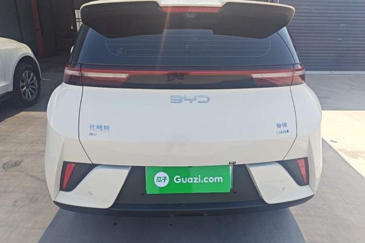 Used BYD Seagull 2025 Smart Drive Version 305 km Freedom Edition Rear