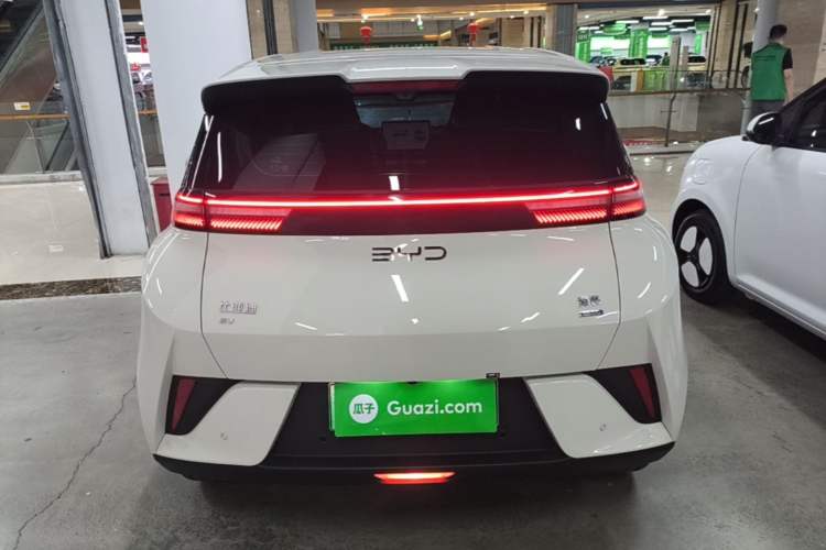Used BYD Seagull 2025 Smart Drive Version 305 km Freedom Edition Rear