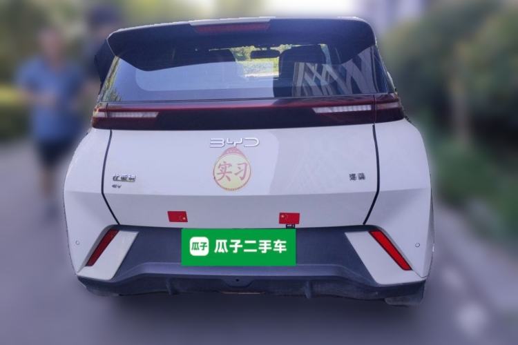 Used BYD Seagull 2025 305 km Free Version Rear