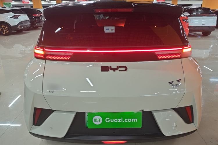 Used BYD Seagull 2025 Intelligent Driving Version 305 km Dynamic Edition Rear
