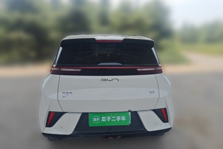 Used BYD Seagull 2025 Intelligent Driving Version 305 km Dynamic Edition Rear