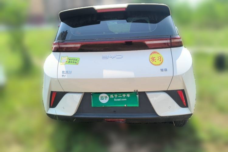 Used BYD Seagull 2025 Intelligent Driving Version 305 km Dynamic Edition Rear