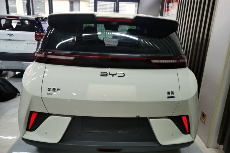 Used BYD Seagull 2025 Smart Drive Version 305 km Freedom Edition Rear
