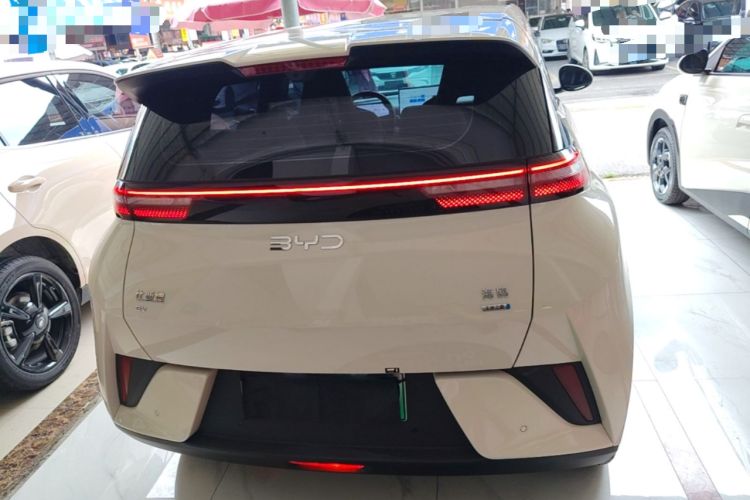 Used BYD Seagull 2025 Smart Drive Version 305 km Freedom Edition Rear
