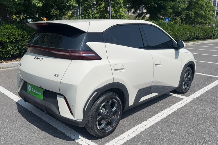 Used BYD Seagull 2025 305 km Free Version Rear Right 45 Deg