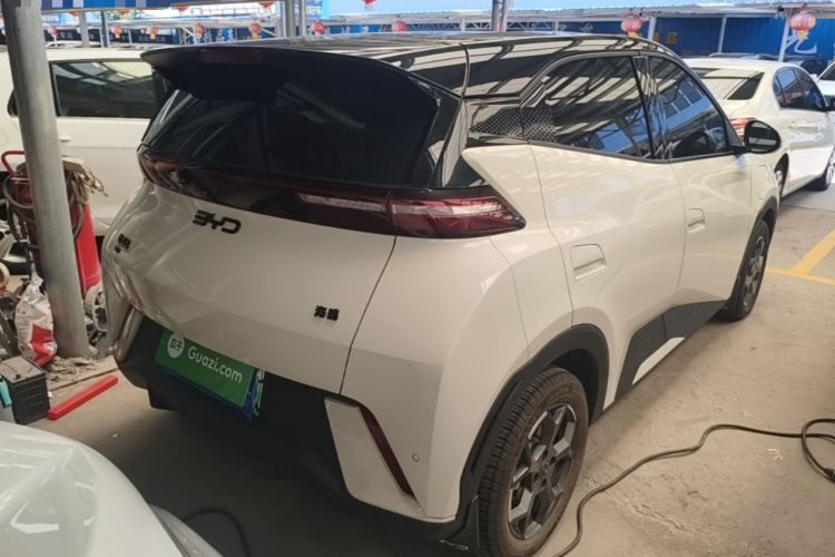 Used BYD Seagull 2025 305km Active Version Rear Right 45 Deg