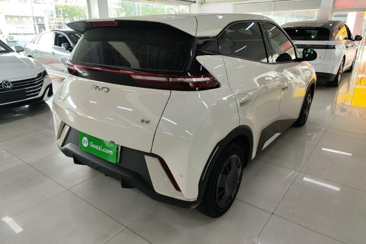 Used BYD Seagull 2025 305km Active Version Rear Right 45 Deg