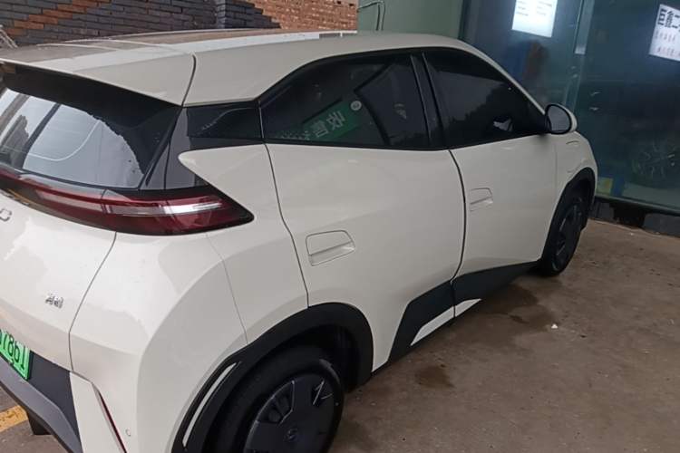 Used BYD Seagull 2025 305km Active Version Rear Right 45 Deg