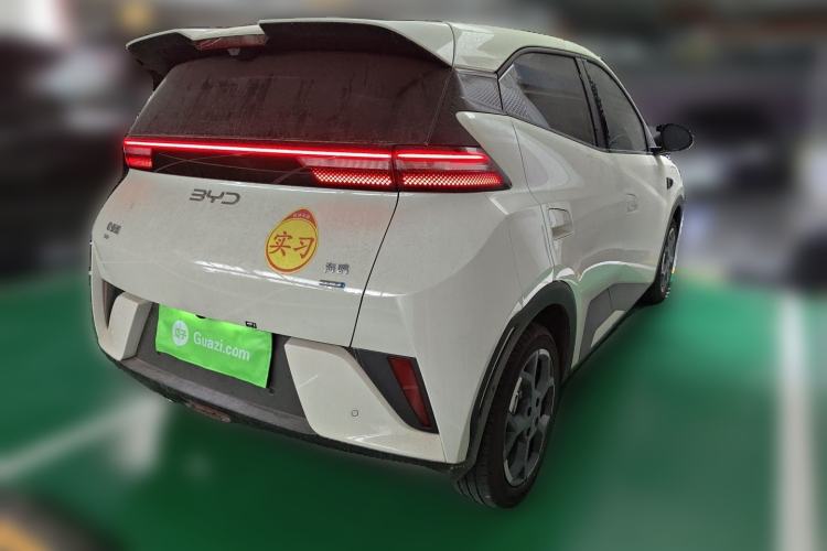 Used BYD Seagull 2025 Smart Drive Version 305 km Freedom Edition Rear Right 45 Deg