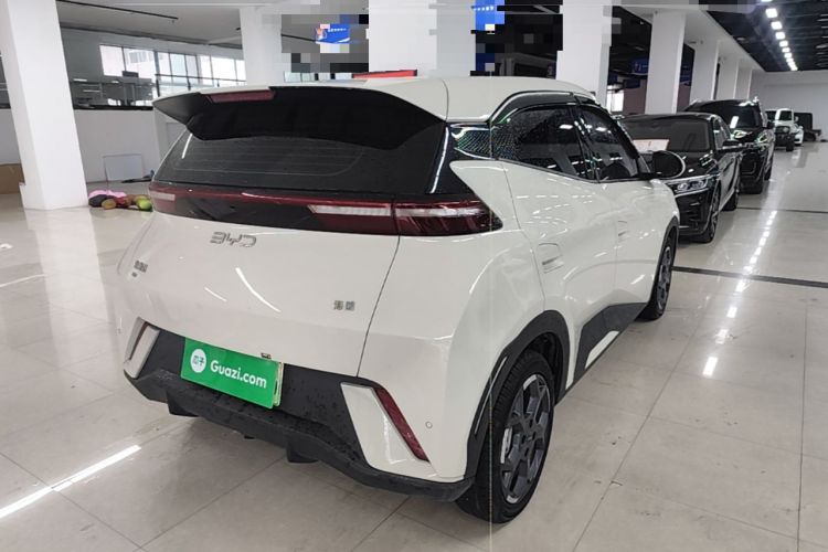 Used BYD Seagull 2025 305 km Free Version Rear Right 45 Deg