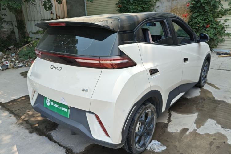 Used BYD Seagull 2025 305 km Free Version Rear Right 45 Deg