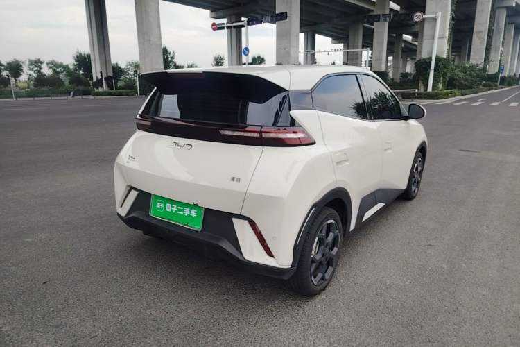 Used BYD Seagull 2025 305 km Free Version Rear Right 45 Deg