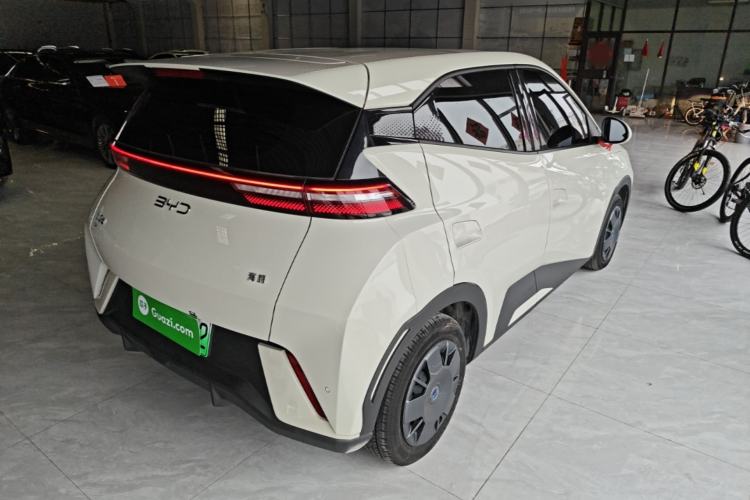 Used BYD Seagull 2025 305km Active Version Rear Right 45 Deg