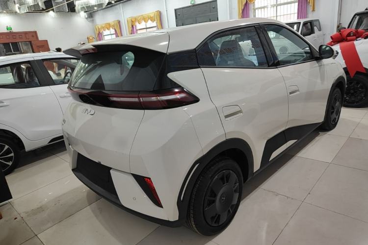 Used BYD Seagull 2025 Intelligent Driving Version 305 km Dynamic Edition Rear Right 45 Deg