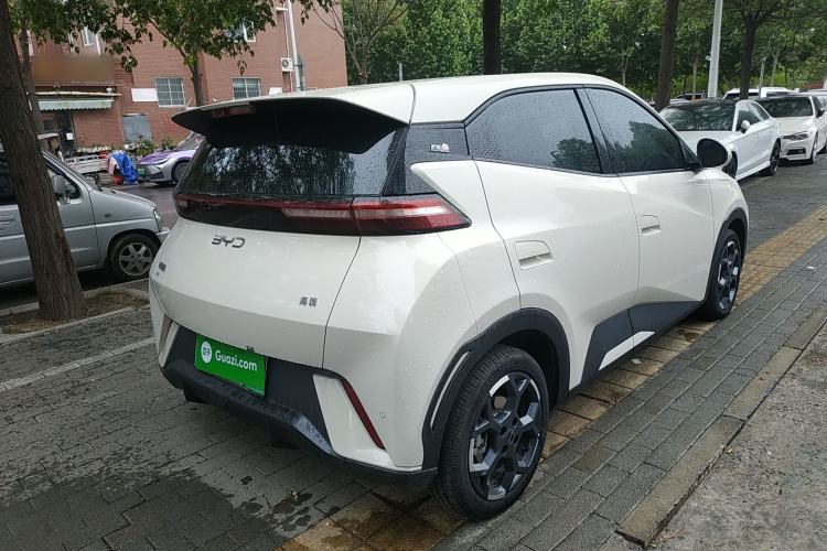 Used BYD Seagull 2025 305 km Free Version Rear Right 45 Deg