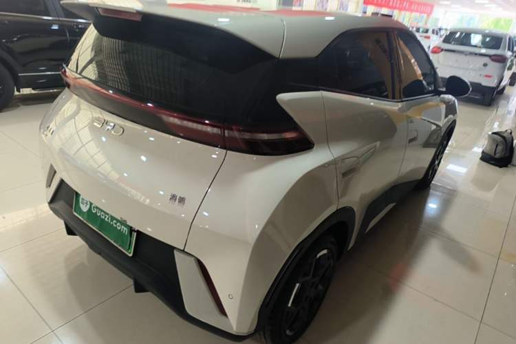 Used BYD Seagull 2025 305 km Free Version Rear Right 45 Deg